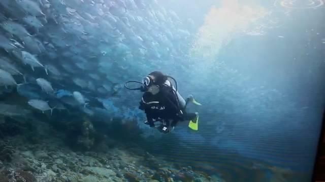 印得香盈袖,江海渺千里——宋代福州雕版印刷丨鱼说榕城